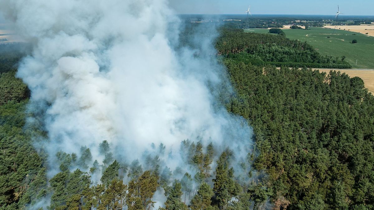 Berlin & Brandenburg: Waldbrandgefahr in Brandenburg gering - steigt leicht