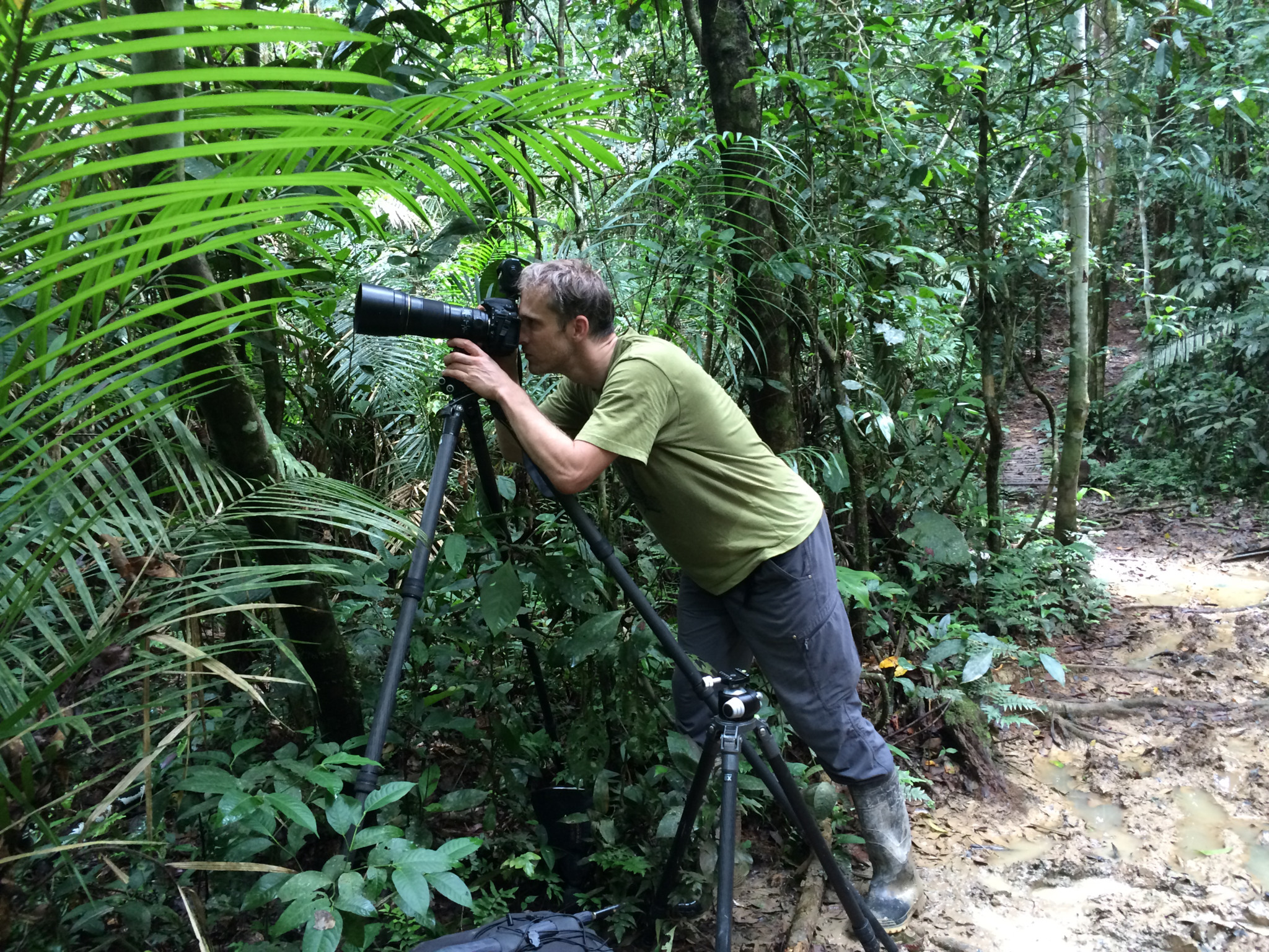 Ein Fotograf, Thomas Marent, arbeitet im Tambopata-Nationalpark, Peru, mit einer Kamera auf einem Stativ inmitten des Regenwaldes.