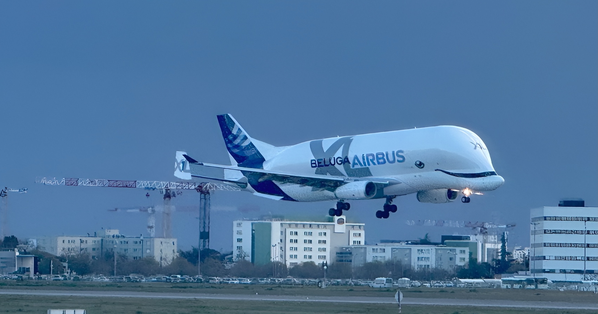 Keine Flüge: Warum die Airbus Beluga XL derzeit am Boden stehen
