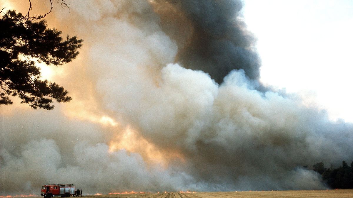 Hitzewelle über Südeuropa: Griechenland bittet um EU-Hilfe bei Bekämpfung von Waldbränden