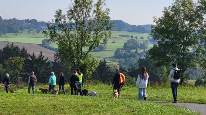 Herzliche Einladung zur „Himmlischen Wanderung“ mit und ohne Hund – Gemeinsam wandern, essen, trinken und die Zeit verbringen
