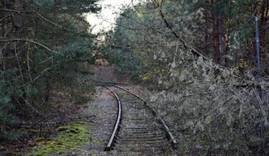 Aufrüstung in Europa: Eine Bahnlinie für den Kriegsfall
