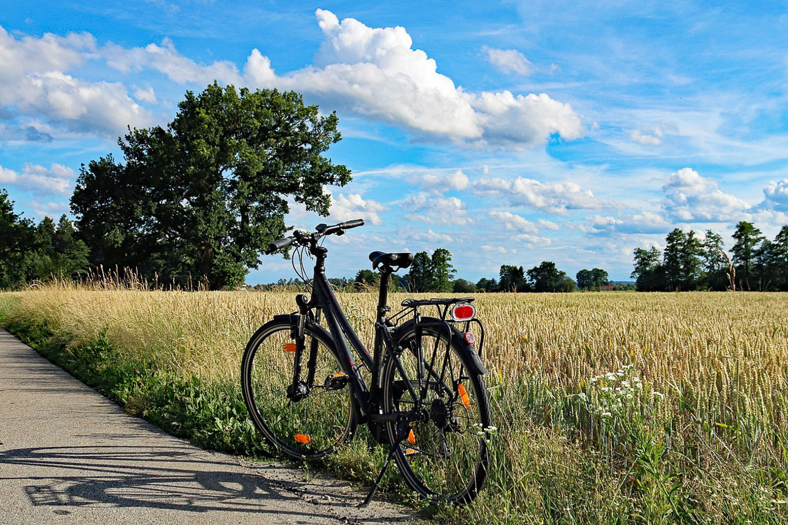 Autofrei: Die 1. Biebricher Fahrradtage