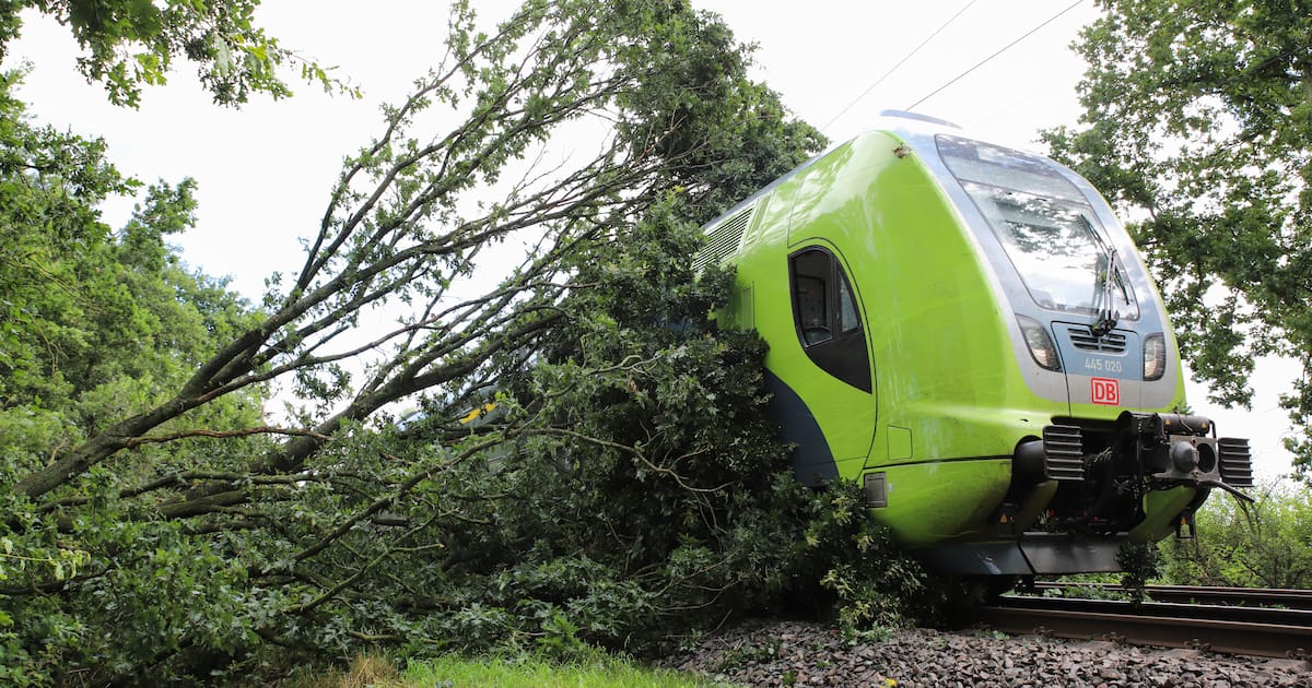 Bahnstrecke zwischen Neumünster und Elmshorn war wegen umgestürztem Baum gesperrt