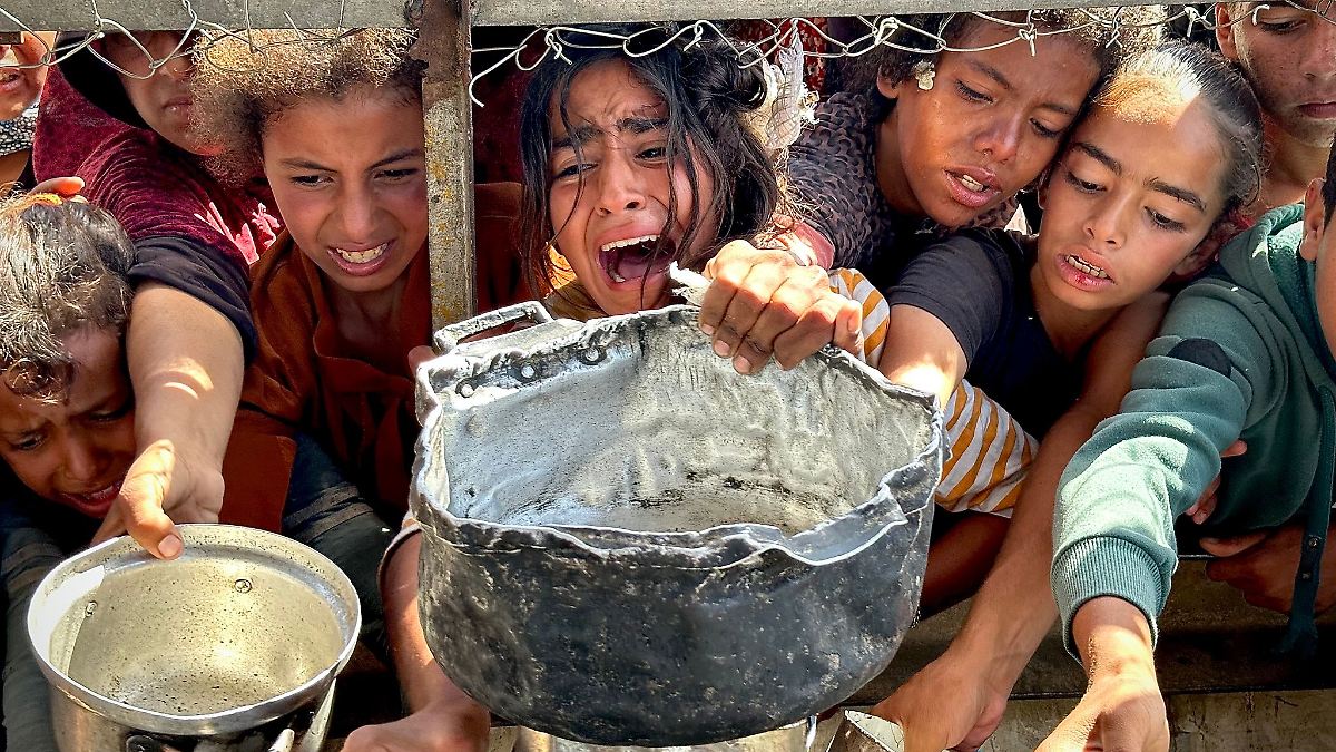 Berlin & Brandenburg: Linke setzt sich für Aufnahme von Kindern aus Gaza ein