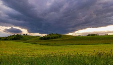 Berlin & Brandenburg: Schwüles Wetter mit Gewitteraussichten