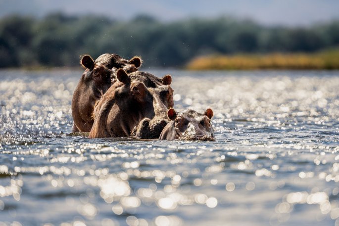 Licht, Leben und Linien: Die Bilder der Woche 32