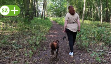Wie ein Assistenzhund einer psychisch Kranken helfen konnte