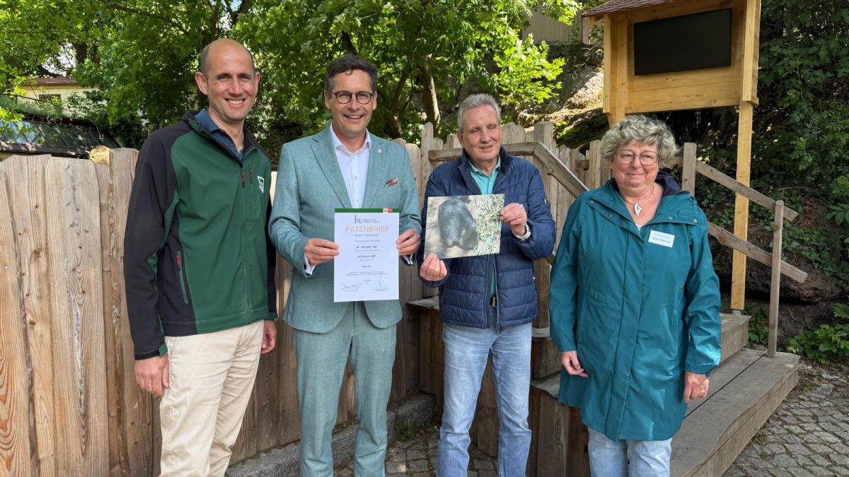 Trauer im Bergzoo Halle – Wombat Cody ist tot, er war das Patentier von OB Vogt – Du bist Halle