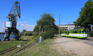 IMG 2109