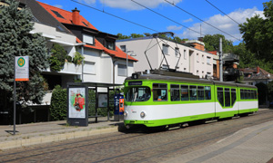 IMG 2171