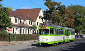 IMG 2235b