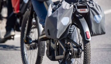 Berlin & Brandenburg: Mehr E-Bike-Besitzer in Brandenburg - unter Bundesschnitt