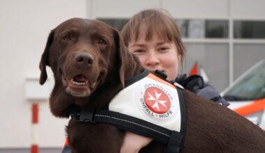 Johanniter-Rettungshundestaffel: Tierische Spürnasen im Einsatz - DAWO!