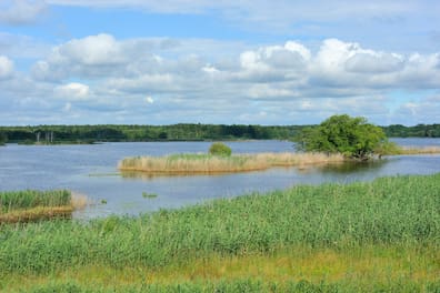 Dieses Foto lässt sich erahnen, warum das Biosphärenreservat Oberlausitzer Heide- und Teichlandschaft auch „Land der tausend Teiche“ genannt wird.