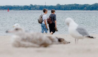 Hamburg & Schleswig-Holstein: Spätsommer ade? Ab Mittwoch wird es kühler im Norden