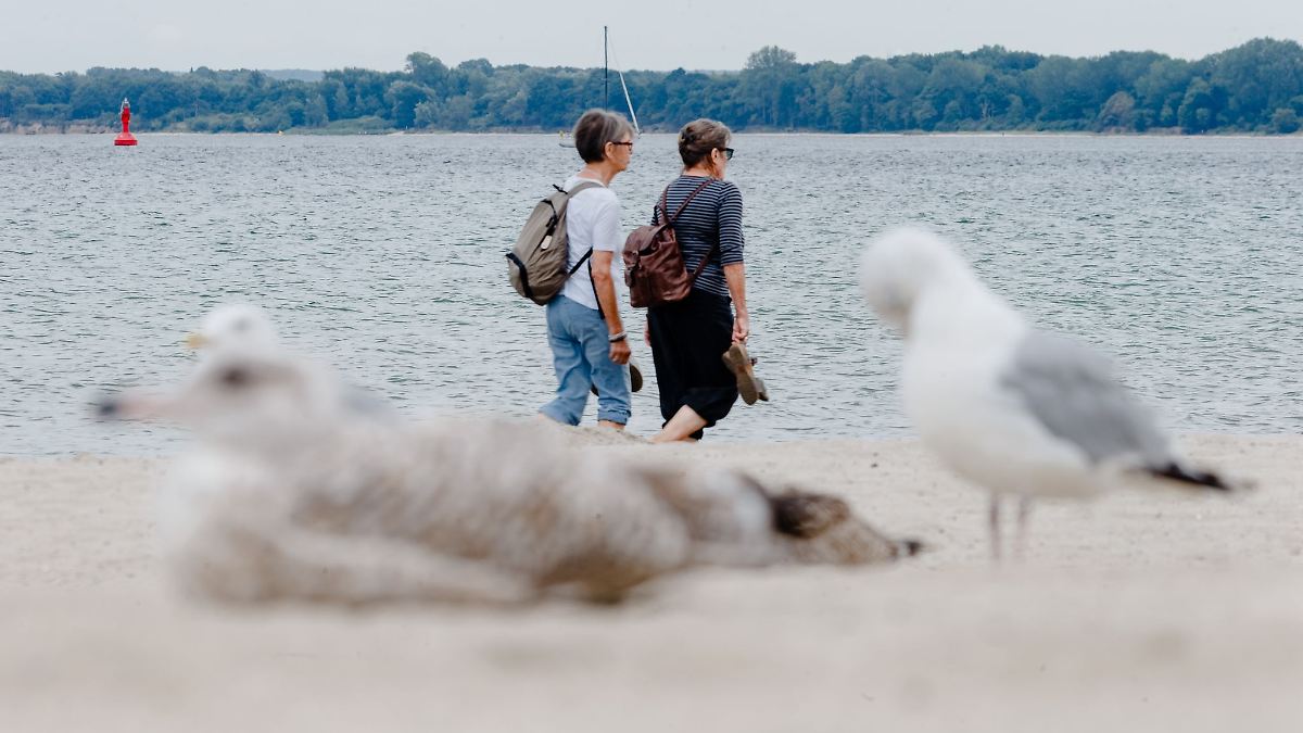 Hamburg & Schleswig-Holstein: Spätsommer ade? Ab Mittwoch wird es kühler im Norden