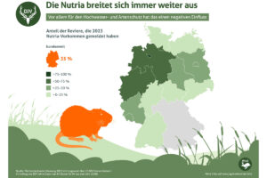 NRW ist Spitzenreiter bei der Dichte der Nutriapopulationen. (Quelle: DJV)