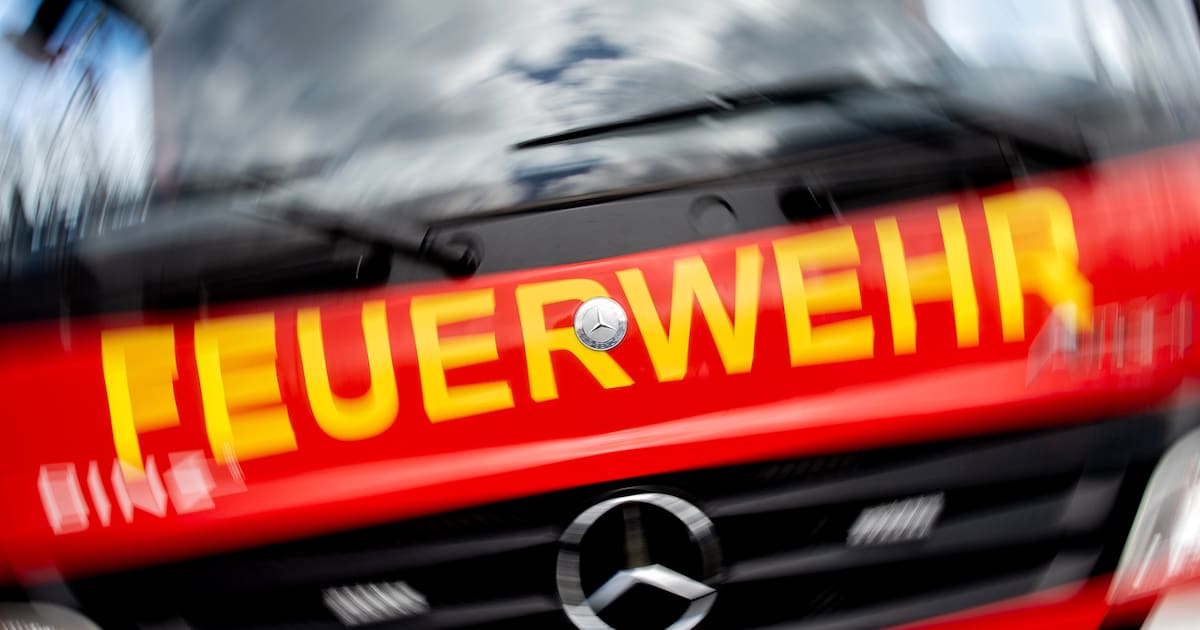 Automatische Meldeanlage löst Fehlalarm am Bahnhof Dresden-Neustadt