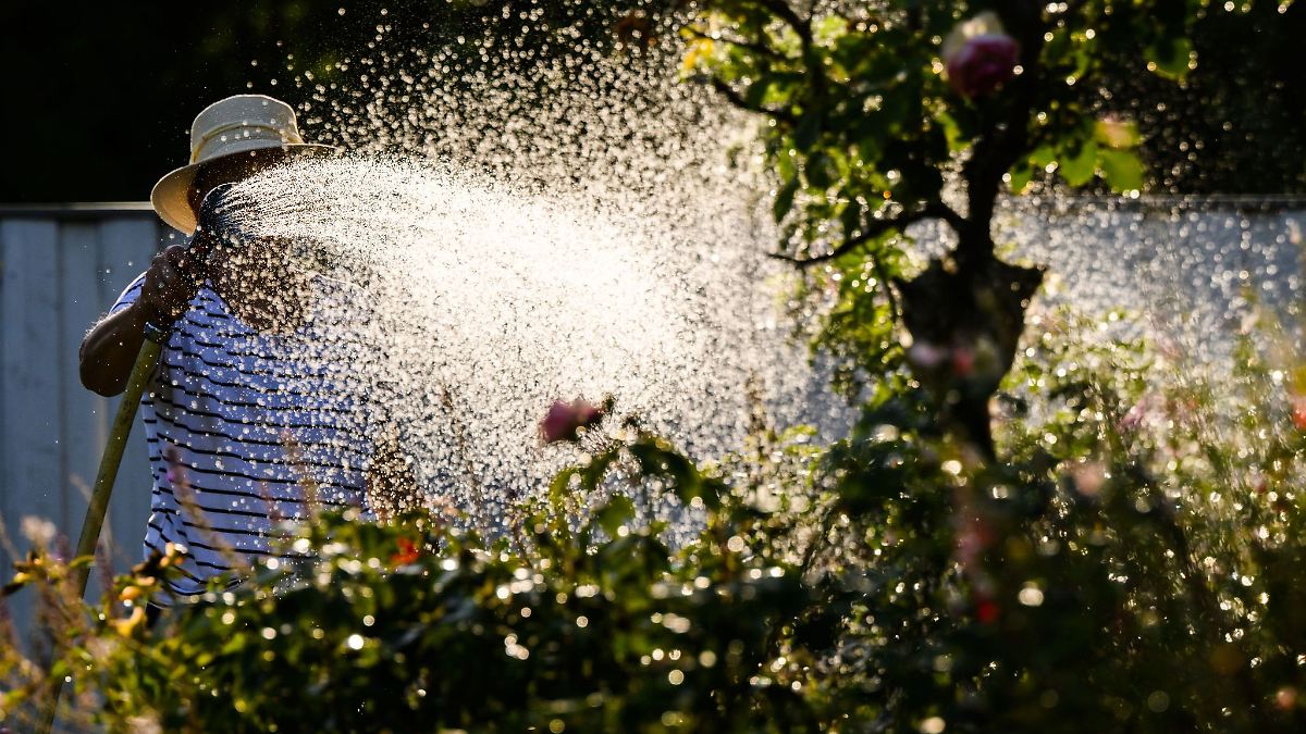 Niedersachsen & Bremen: Umweltminister stellt "Masterplan Wasser" vor