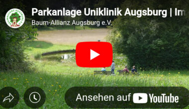 Ökologisches Juwel: Klinikneubau bedroht Hansjakobs Park