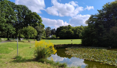 BUND Naturschutz lädt zum Sommer­stamm­tisch in den Uniklinikpark