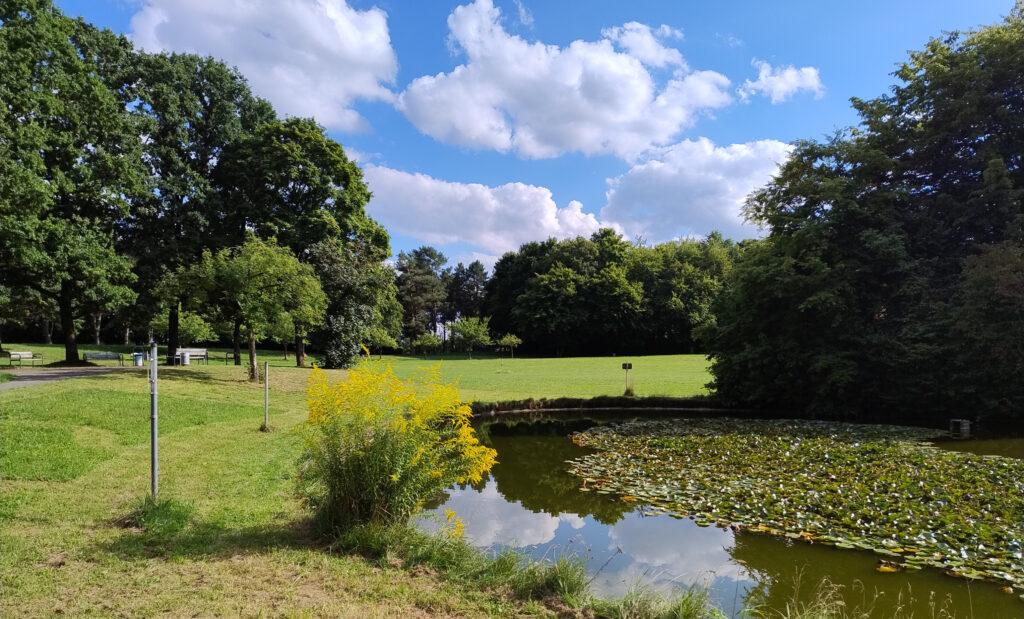 BUND Naturschutz lädt zum Sommer­stamm­tisch in den Uniklinikpark