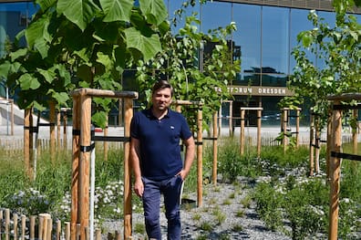 Sascha Döll, Leiter des Amtes für Stadtgrün, zeigt die umzäunte Fläche am Stadtforum, auf der 27 schnell wachsende Bäume gepflanzt wurden. Ziel des Versuches ist es, klimarobuste Bäume schon im jungen Alter an die schwierigen klimatischen Bedingungen in der Stadt zu gewöhnen.