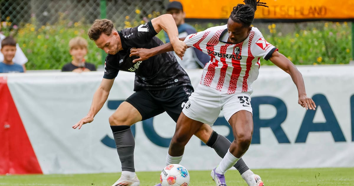 Dynamo Dresden gibt Meißner und Bohdanov ab