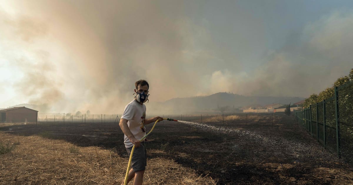 Großer Vegetationsbrand wütet im Süden des Landes