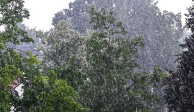 Berlin & Brandenburg: Trübes Wetter in der Hauptstadtregion