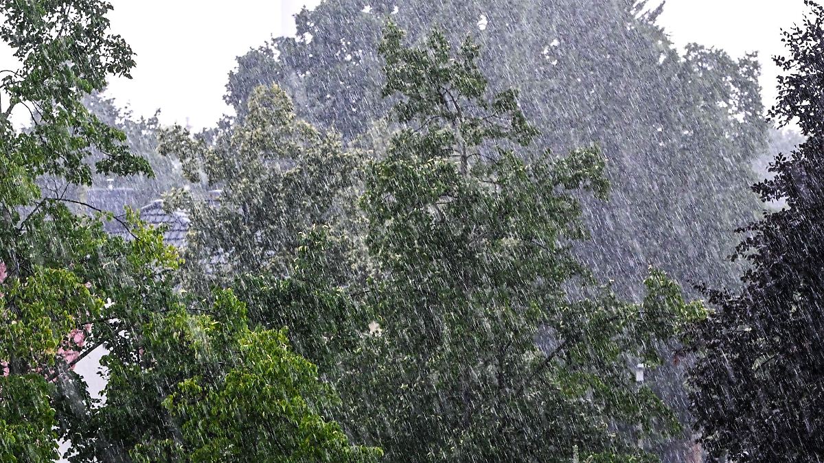 Berlin & Brandenburg: Trübes Wetter in der Hauptstadtregion