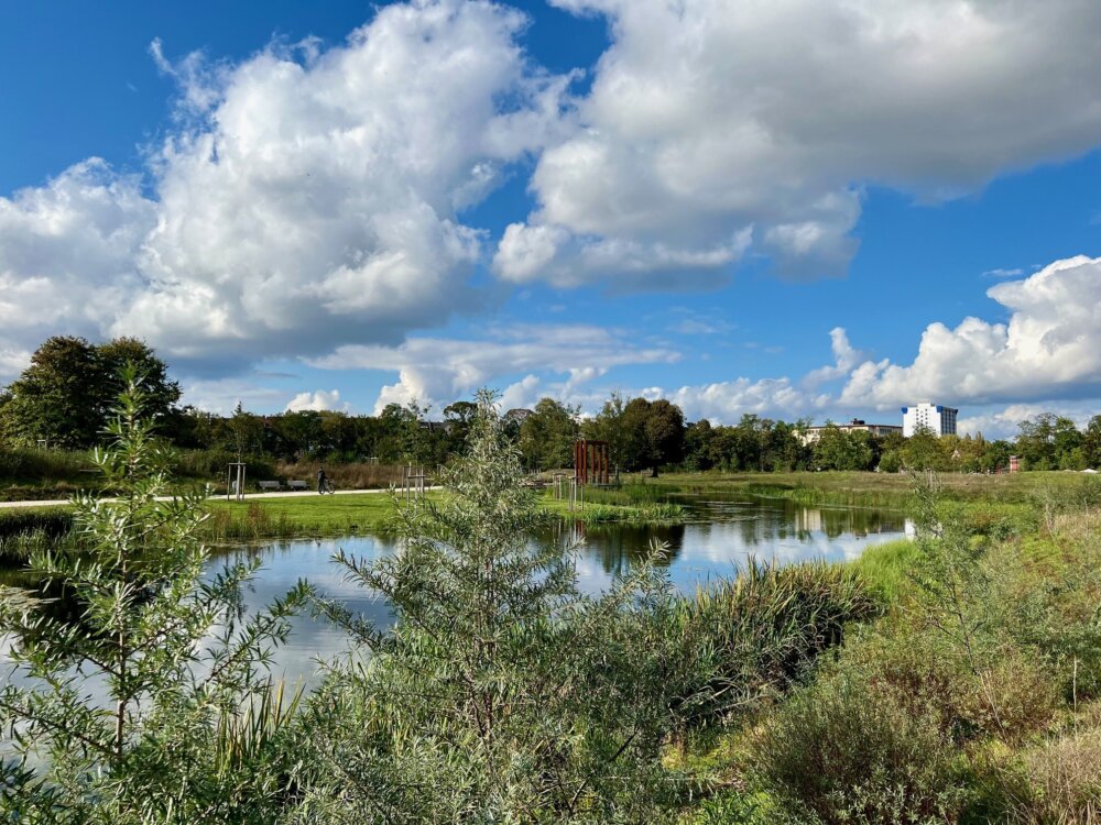 Vom Wert des Grüns: Wie stehen die Frankfurter zu ihren Parks und Grünanlagen?