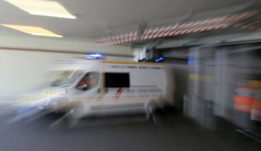 Zwei Tote nach Listeriose-Ausbruch – verseuchter Weichkäse?
