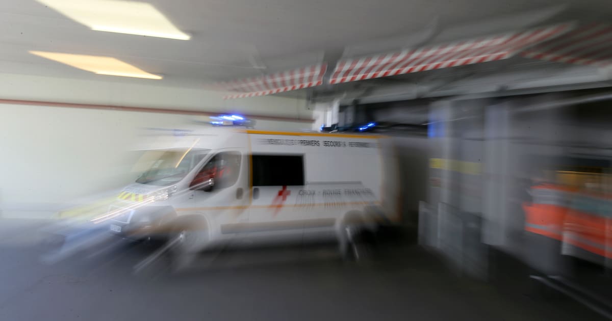 Zwei Tote nach Listeriose-Ausbruch – verseuchter Weichkäse?