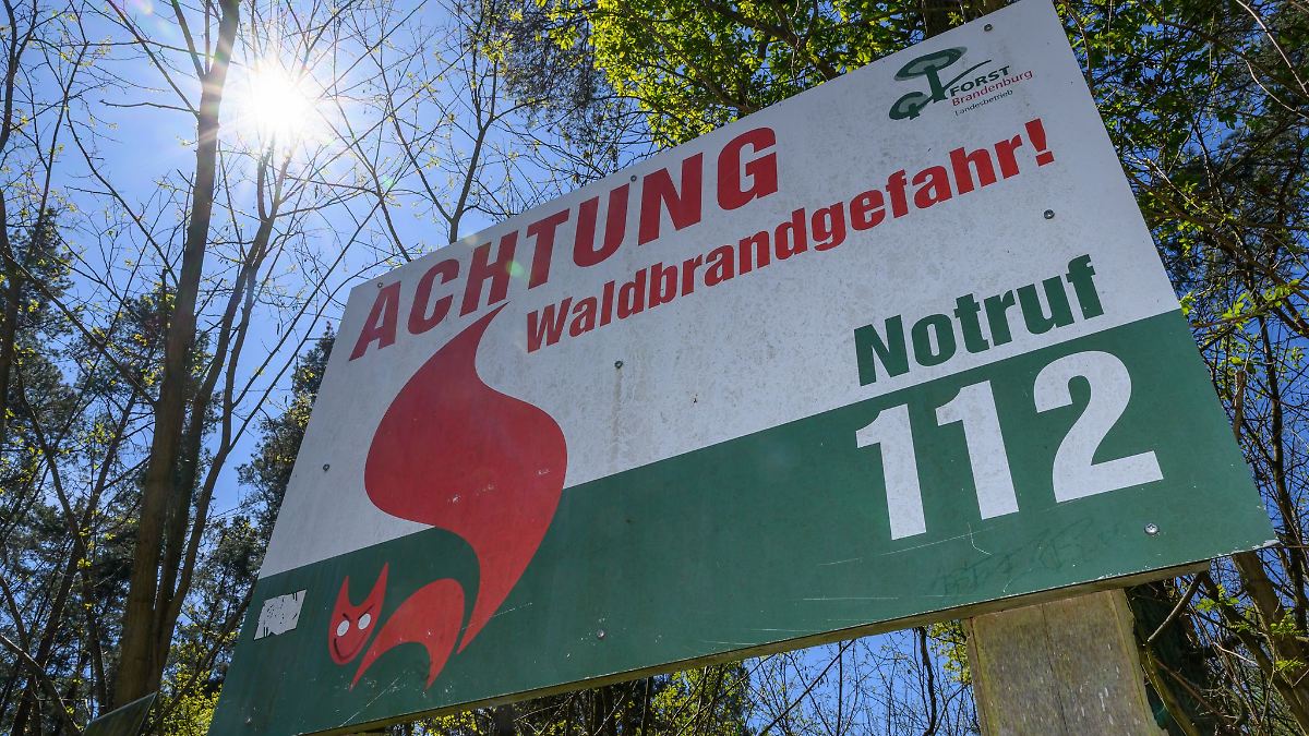 Berlin & Brandenburg: Waldbrandgefahr in sieben Landkreisen gestiegen