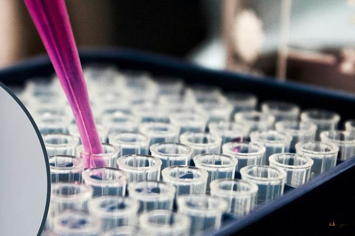 ATOS Wiesbaden: Stammzellentherapie gegen Arthrose
