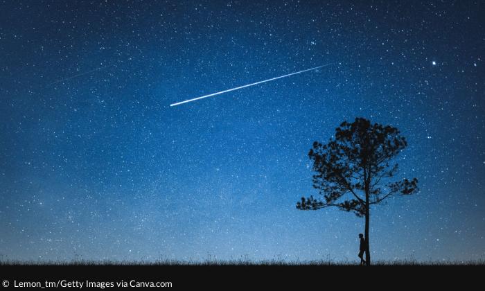 Eine Sternschnuppe an einem nachtblauen Himmel, davor ein Baum