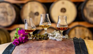 Wie soll der erste KN-Aquavit aus Kiel schmecken?