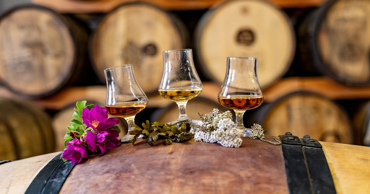 Wie soll der erste KN-Aquavit aus Kiel schmecken?