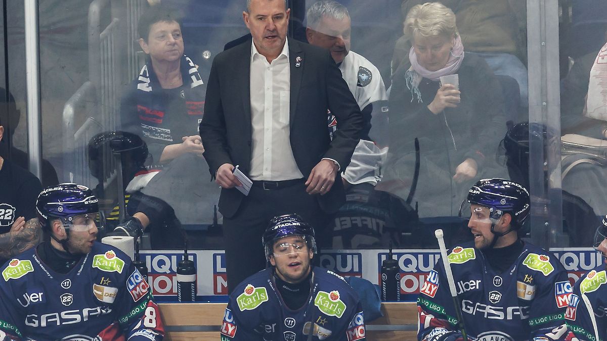 Berlin & Brandenburg: Eisbären Berlin feiern Trainingsauftakt mit 1.500 Fans
