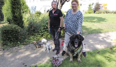 Benny, Ben und Co. sind Patientenfreunde