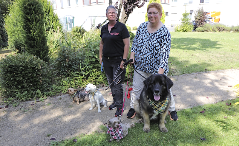 Benny, Ben und Co. sind Patientenfreunde