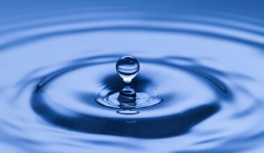 Auf die Wasserwirtschaft in Brandenburg kommen Investitionen in Milliardenhöhe zu