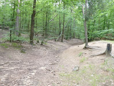 Hohlweg in der Dresdner Heide