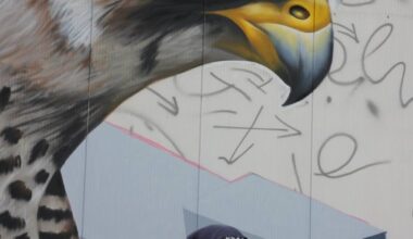 Jungekultur