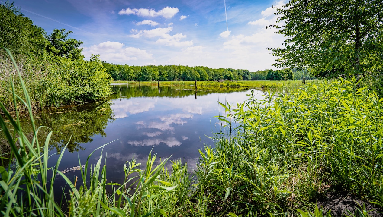 Die Spree in Spandau