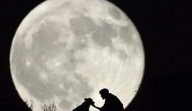 „Störmond“ im August: Wieso hat dieser schöne Mond so einen komischen Namen? | Leben & Wissen