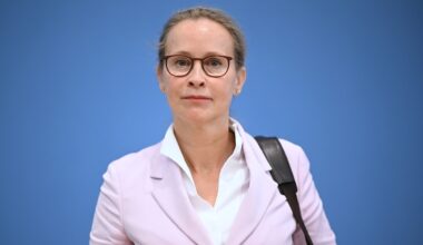 „Ganz sicher kein Zufall“: Plagiatsexperten über Doktorarbeit von Brosius-Gersdorf | Politik