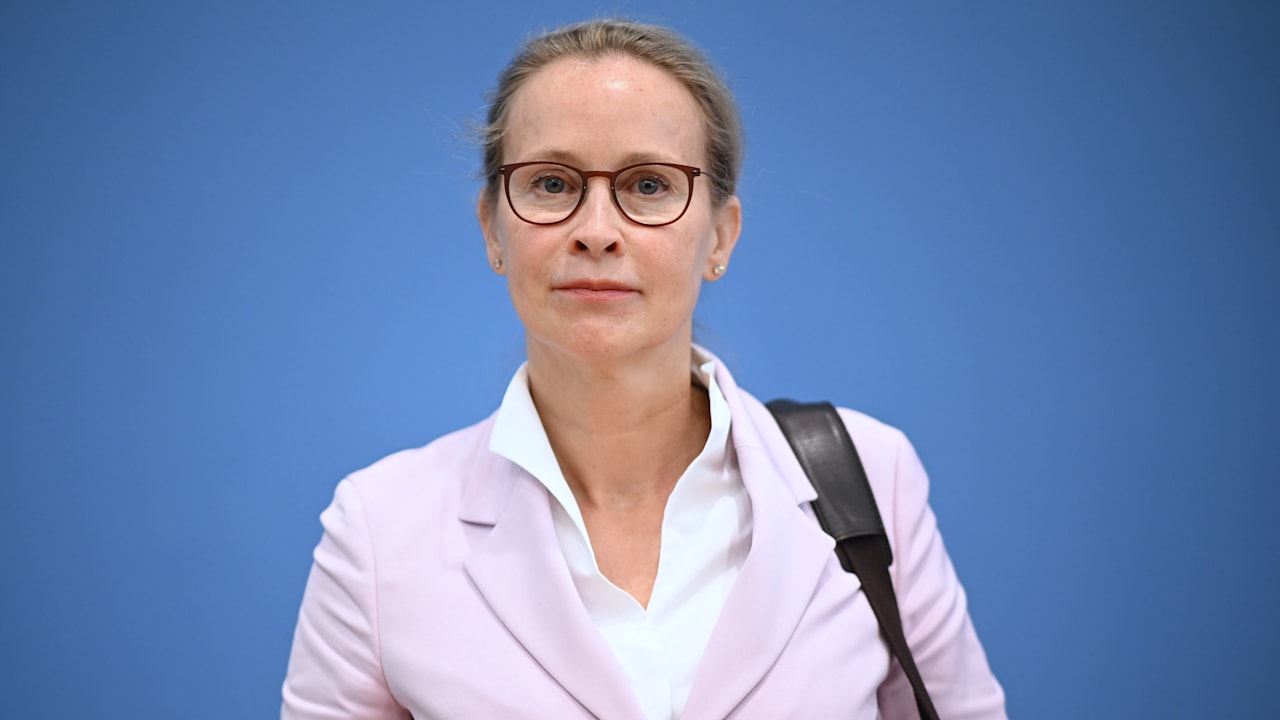 „Ganz sicher kein Zufall“: Plagiatsexperten über Doktorarbeit von Brosius-Gersdorf | Politik